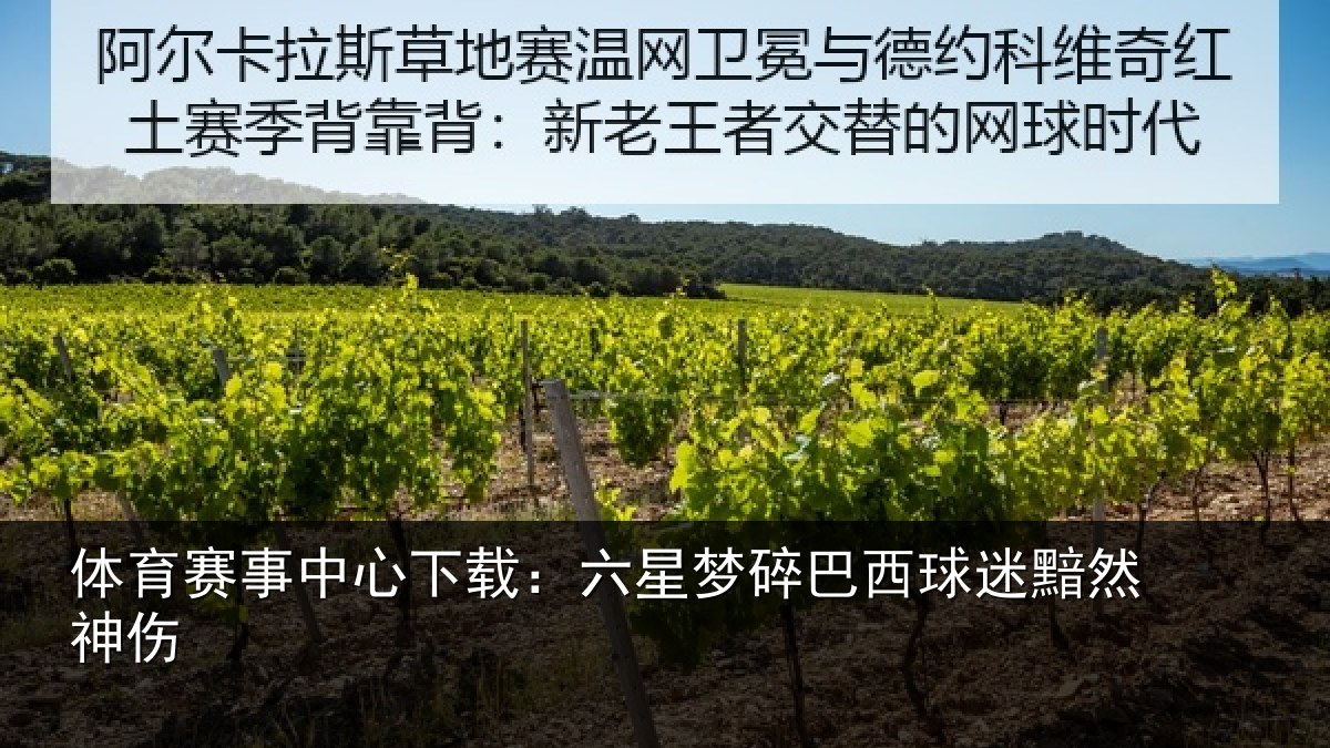 体育赛事中心下载:六星梦碎巴西球迷黯然神伤